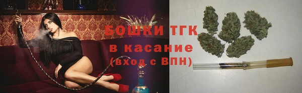ешки Алексин