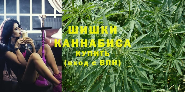 ешки Алексин