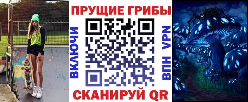 Псилоцибиновые грибы Psilocybe  Фатеж 